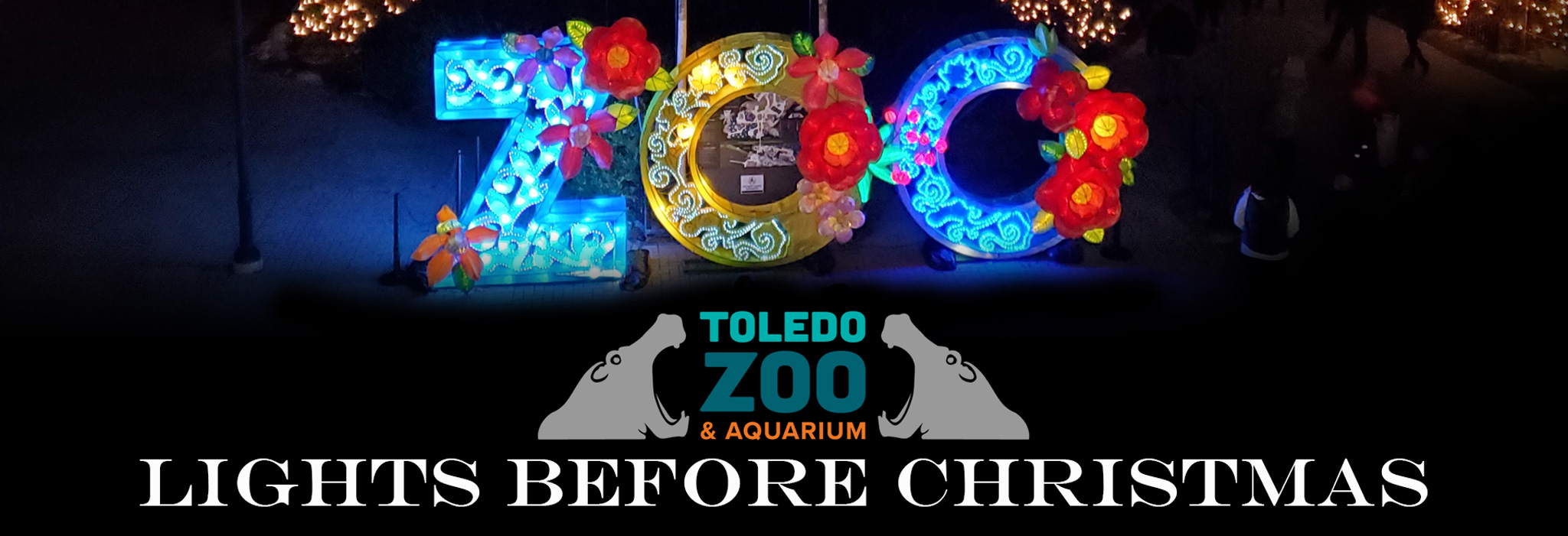 Toledo Zoo Lights Before Christmas